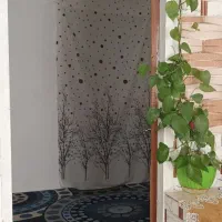 فروش منزل مسکونی|فروش زمین و ملک کلنگی|شیراز, جرسقان|دیوار