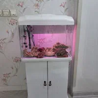 اکواریوم دلسا k 580 با کمد ام دی اف|ماهی|شیراز, انجیر|دیوار