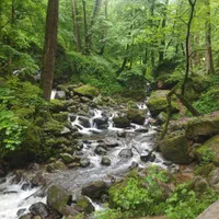 تهران گردی،کوهنوردی،،مکان های دیدنی تهران|تور و چارتر|تهران, درکه|دیوار