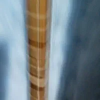 سه تار حرفه ای|آلات موسیقی|اصفهان, گلزار|دیوار