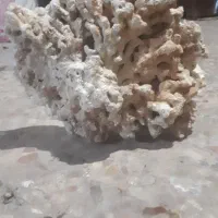 صخره آکواریوم