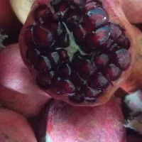 انار قصردشتی درجه یک دانه سیاه به شرط