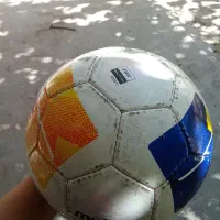 توپ چمن و سالن