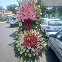 گل طبیعی