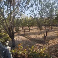 باغ ویلا در بافت شهری گلپایگان|فروش خانه و ویلا|گلپایگان, |دیوار