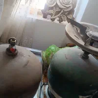 پیکنیک کوه نوردی