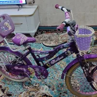 دوچرخه 20 دوخترونه در حد نو|دوچرخه، اسکیت، اسکوتر|شیراز, پودنک|دیوار