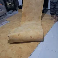 موکت|موکت|چالوس, |دیوار