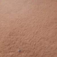 سلام دنبال کار هستم