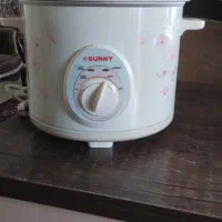 ارام پز وسرخ کن سانی