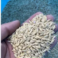 جو آبی|خوردنی و آشامیدنی|بروجن, |دیوار