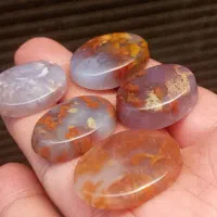 عقیق شجر
