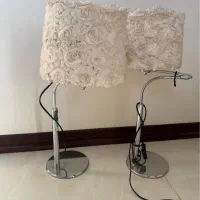 آباژور جفت