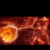 سالن دار خانم