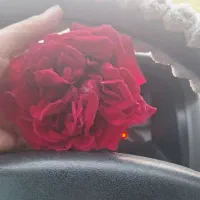 سرویس خانم هستم