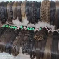 خریدموی سر خریدار اصلی مستقیم