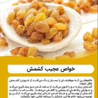 آجیل قائم بهترین کیفیت نازلترین قیمت درمشهد|خوردنی و آشامیدنی|مشهد, موسوی قوچانی|دیوار