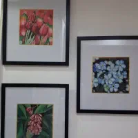 تابلوهای سه قلو ترکیبی مداد رنگی و آبرنگ