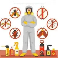 سمپاشی حشرات و موش بامجوز بهداشت