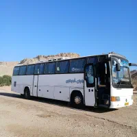 ماهشهر شهرک طالقانی