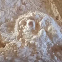 نان لواش محلی مجن|خوردنی و آشامیدنی|بسطام, |دیوار