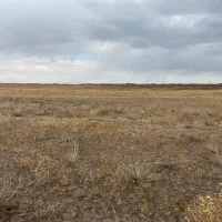 گلشهر کاظمیه فاز ۵