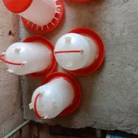 دان خوری وآب خوری|لوازم جانبی حیوانات|مرند, |دیوار