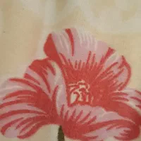 راهنمایی میخواستم