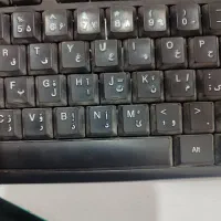 همکار خانم  جهت کار در عکاسی