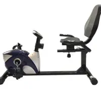 دوچرخه ثابت r533 مبلی
