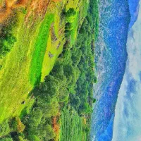فروش-زمین-کوچه-5-مفتح-جابه