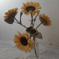 گل خارجی|گل مصنوعی|کرج, حصارک پایین|دیوار