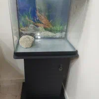 آکواریوم دلسا k500