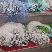 تور ماهیگیری دیواری و پرتابی