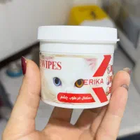 گربه یک ساله اسکاتیش|گربه|ساری, |دیوار