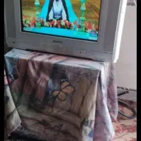 تلویزیون ،***