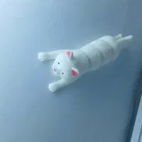 رو داشبوردی