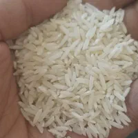 برنج ایرانی صدری ممتاز مجلسی|خوردنی و آشامیدنی|تهران, چهارصد دستگاه|دیوار