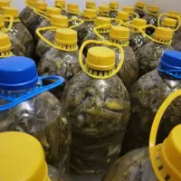 خیارشورخونگی 320
