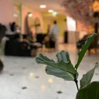 اجاره لاین اصلاح ابرو حرفه ای در سالن|اجارهٔ کوتاه‌مدت دفتر کار و فضای آموزشی|مشهد, سجاد شهر|دیوار