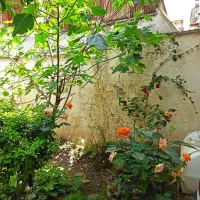 فروش-خانه-ویلایی-نسق