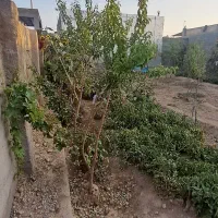 باغ ویلا فروشی زمین ۵۰۰متر زیربنا ۱۲۰متر|فروش خانه و ویلا|شیروان (خراسان), |دیوار