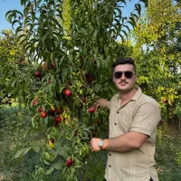 فروش نهال بدون واسطه در نهالستان غرب|خدمات باغبانی و درختکاری|اشتهارد, |دیوار