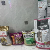 غذای سگ و گربه