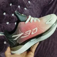 اسیکس|کیف، کفش، کمربند|کنگاور, |دیوار