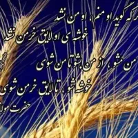 نیروی کار
