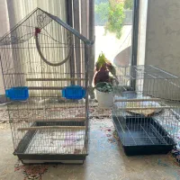 دو عدد قفس استیل پرندگان سالم و عالی با وسایل کامل