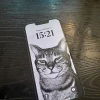 13نرمال ایفون