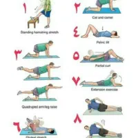 استخدام مربی بدنسازی بانوان