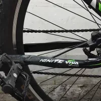فروش دوچرخه ویوا سایز۲۹فریم۱۸بیست و چهار دنده